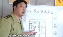 燕赵刑警全屏在线观看,全屏揭秘，刑侦风云再起